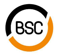 Ganancias token BSC febrero 2020